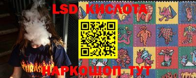 прущие грибы Волгодонск