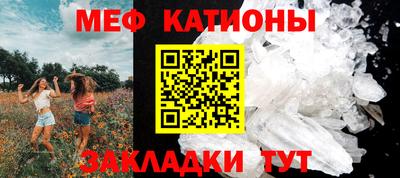 прущие грибы Волгодонск