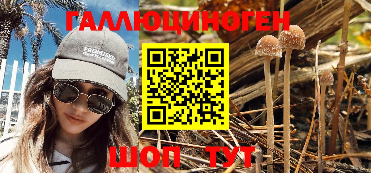 Галлюциногенные грибы Magic Shrooms Бахчисарай