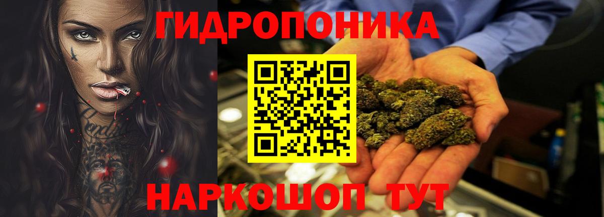 Канабис OG Kush Бахчисарай